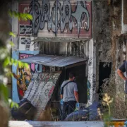  Κυψέλη