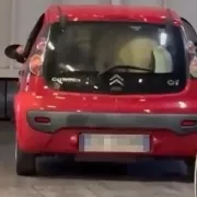 πονυ, καραβι