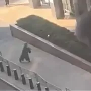 τσεκούρια, όπλα