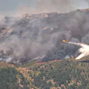 πυρκαγιά, νεκρός
