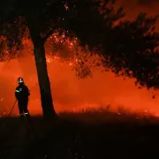 Πυρκαγιές Ελλάδα