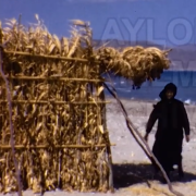 κίσσαμος 1968