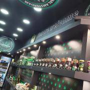 cannabis shop