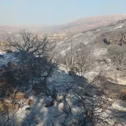φωτιά στην Πάρο