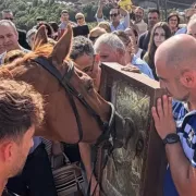 αλογο προσκυνα την παναγια καλαβρυτα