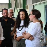 ανδρουλακης πυροπληκτα ζωα