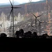 ανεμογεννητριες καμμενα