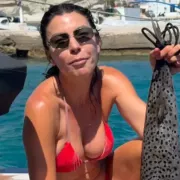 βερνίκου