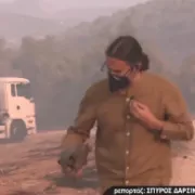 Χελώνα ρεπορτερ