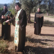 τρυγος αγιο ορος 
