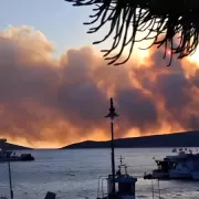 Φωτιά Σκύρος