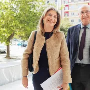 Καρυστιανού - Παναγιωτόπουλος