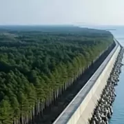 Τσουνάμι Ιαπωνία
