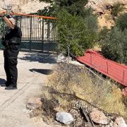 αστυνομια κυψελη