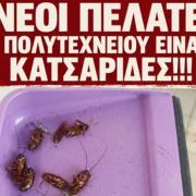 Κατσαρίδες