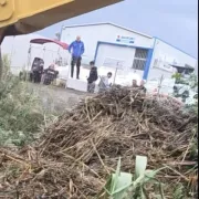 φοινικια πλημμυρα