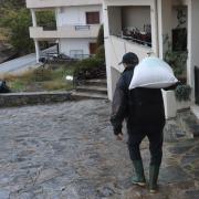 Ζωνιανά 