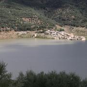 αποσελέμη