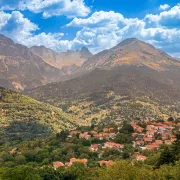 Αρτοτίνα