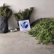 Κάνναβη Σέρρες 