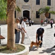 Αστυνομία Ζωων
