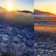 Φαινόμενο