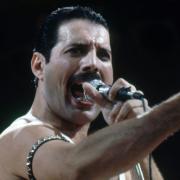 freddie-mercury.jpg