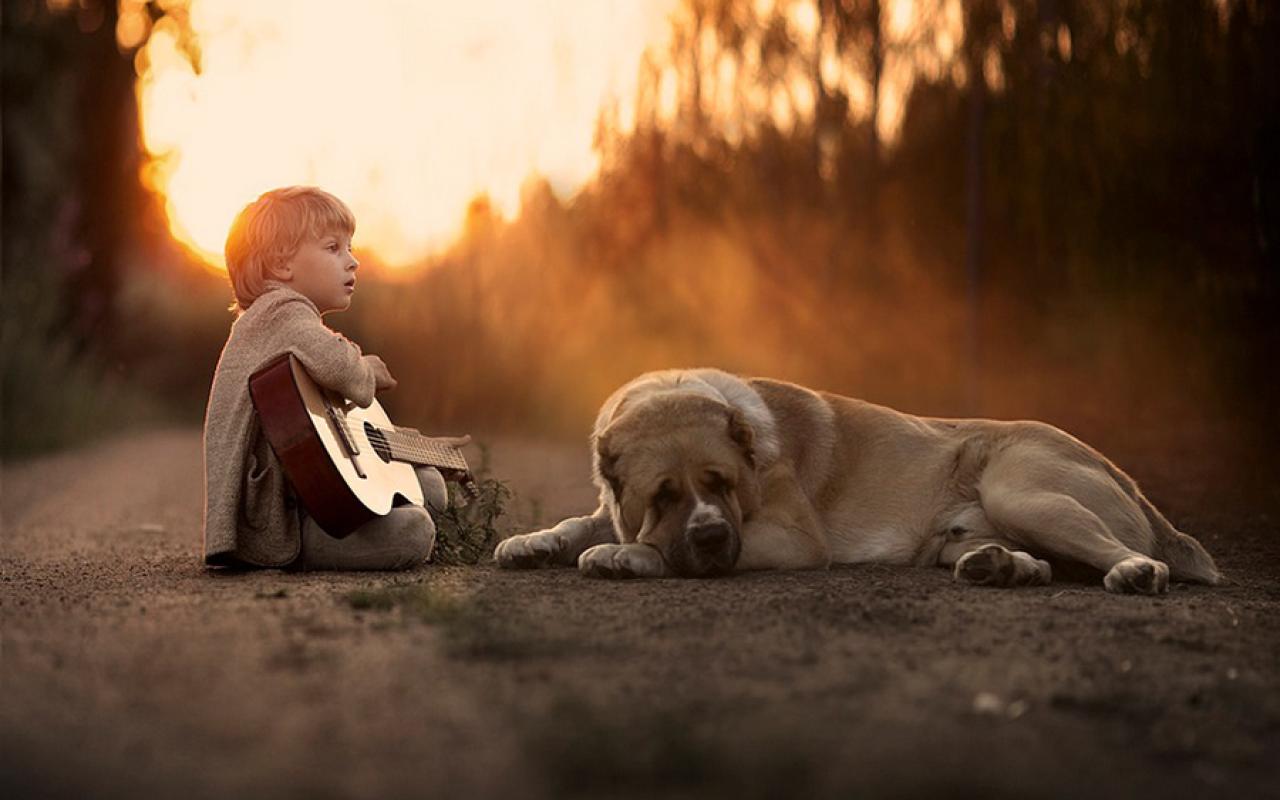 σκύλος-παιδί με κιθάρα-ζώδια