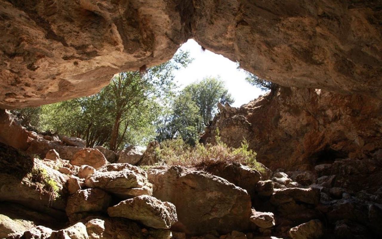 Το σπήλαιο του Τζανή