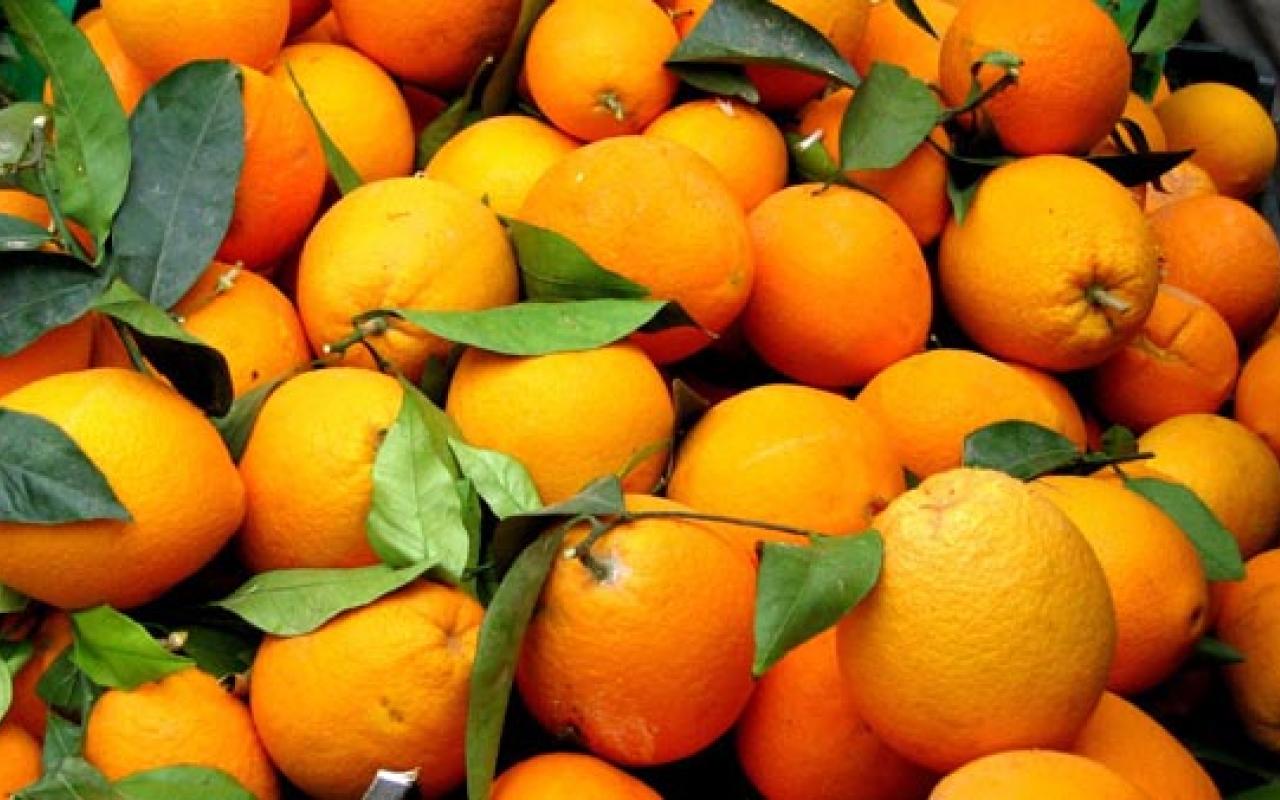 πορτοκαλι