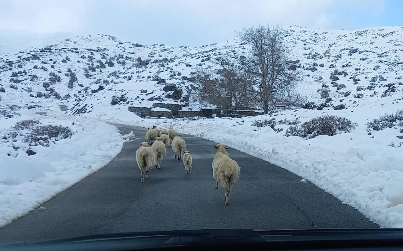 Κατάλευκο τοπίο στη Νίδα.