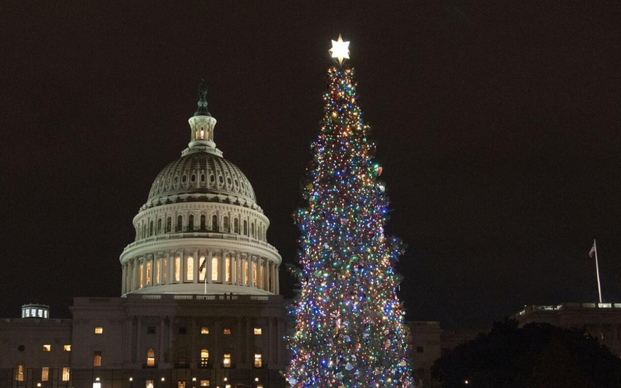 Το χριστουγεννιάτικο δέντρο στο αμερικανικό Καπιτώλιο, Ουάσινγκτον. ΗΠΑ