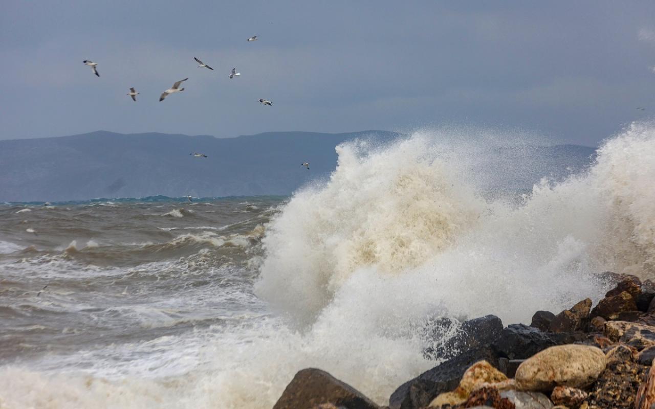 μποφόρ