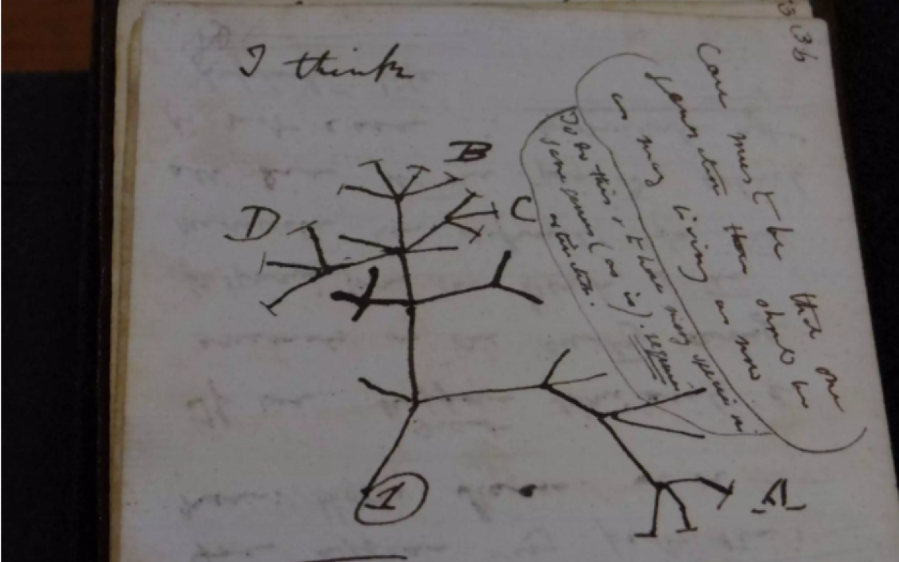 δαρβίνος χειρόγραφα