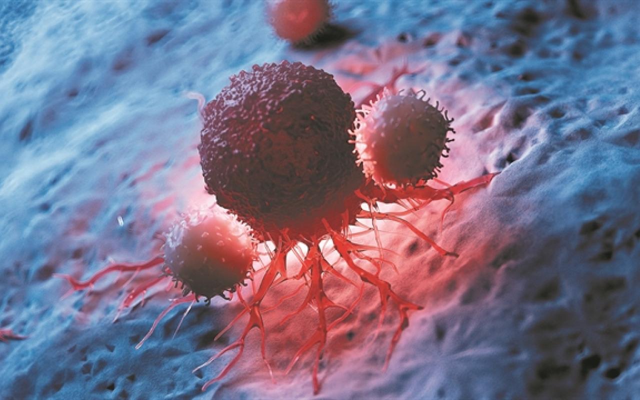 Πως ένα T-λεμφοκύτταρο σκοτώνει τον καρκίνο 