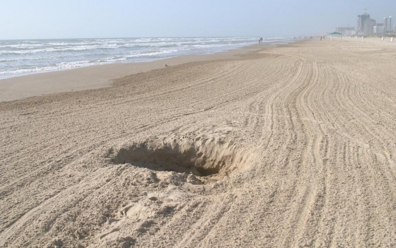 άμμος - παραλία