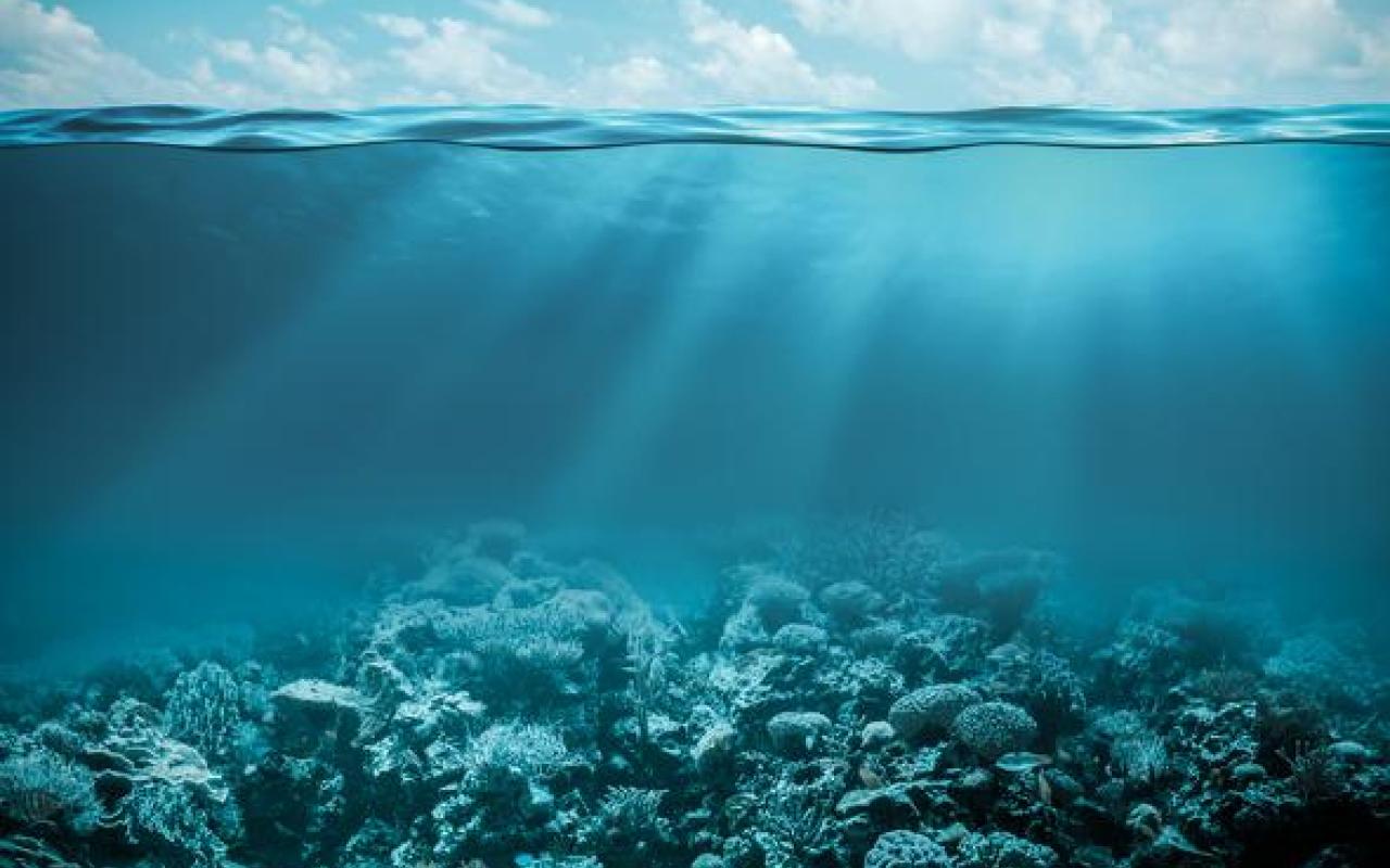 Ξινό το μέλλον των ωκεανών προειδοποιεί ο ΟΗΕ