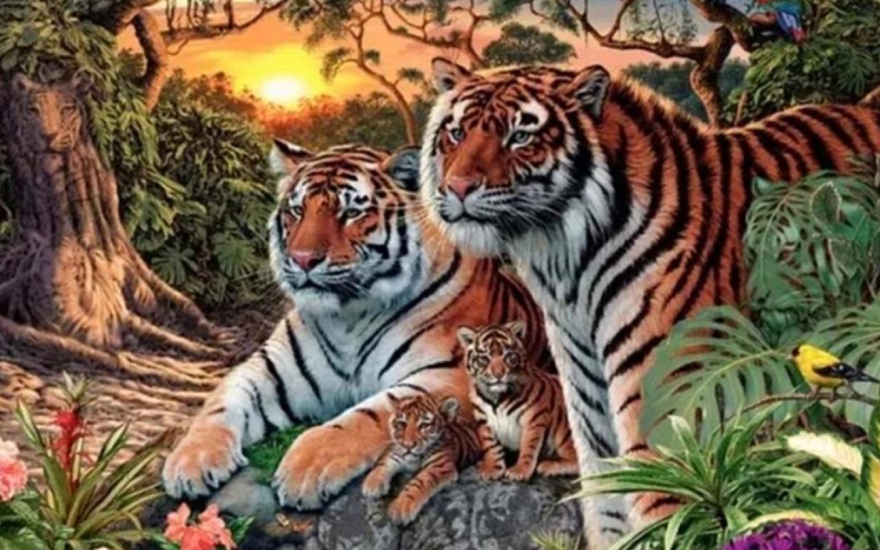 Η οφθαλμαπάτη με τις τίγρεις που έγινε viral 