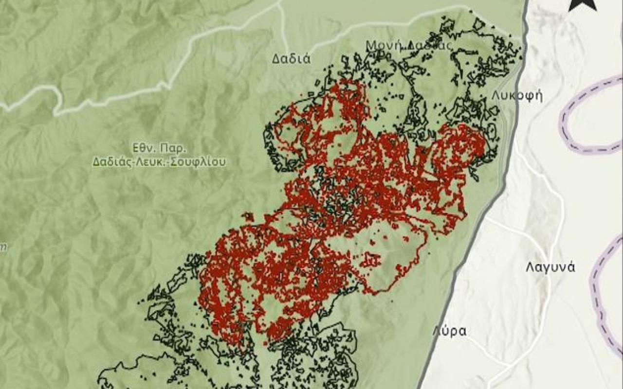 Με κόκκινο χρώμα στους χάρτες αποτυπώνεται η καμένη έκταση (12,060 στρέμματα) όπως φαινόταν στις 24 Ιουλίου και με μαύρο χρώμα (32,192 στρέμματα) στις 26 Ιουλίου με την συνολική έκταση να φτάνει πλέον 40.000 στρέμματα.