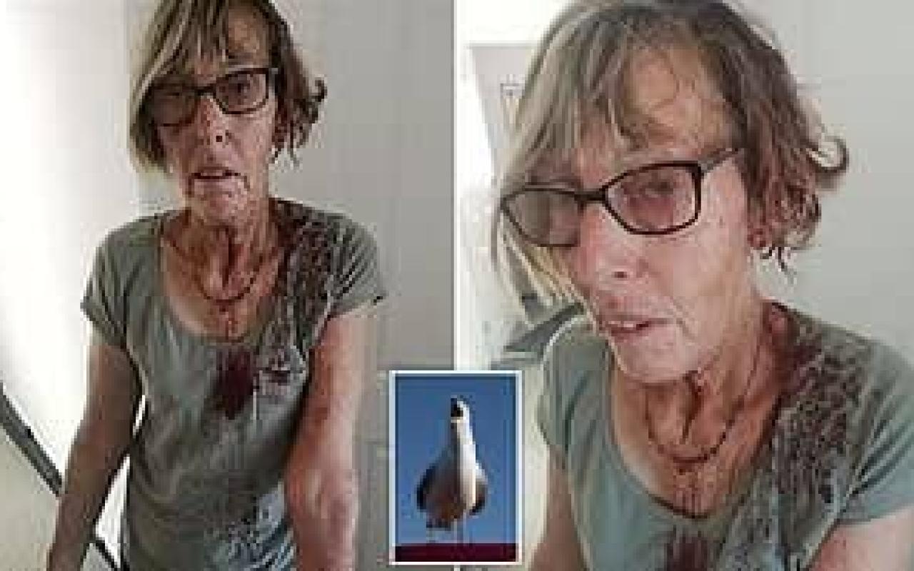 Επίθεση... γλάρου τραυμάτισε 66χρονη γυναίκα στην Αγγλία