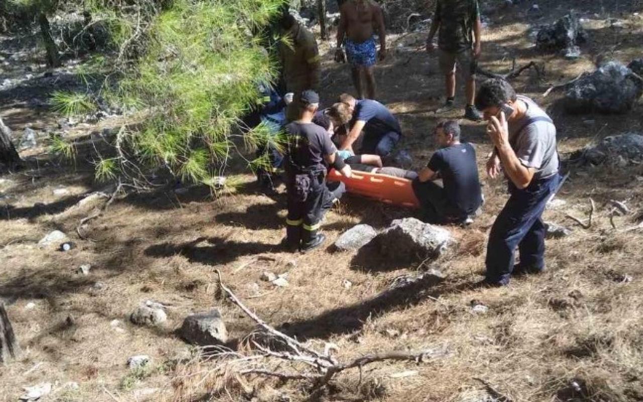 γουρούνα ρόδος