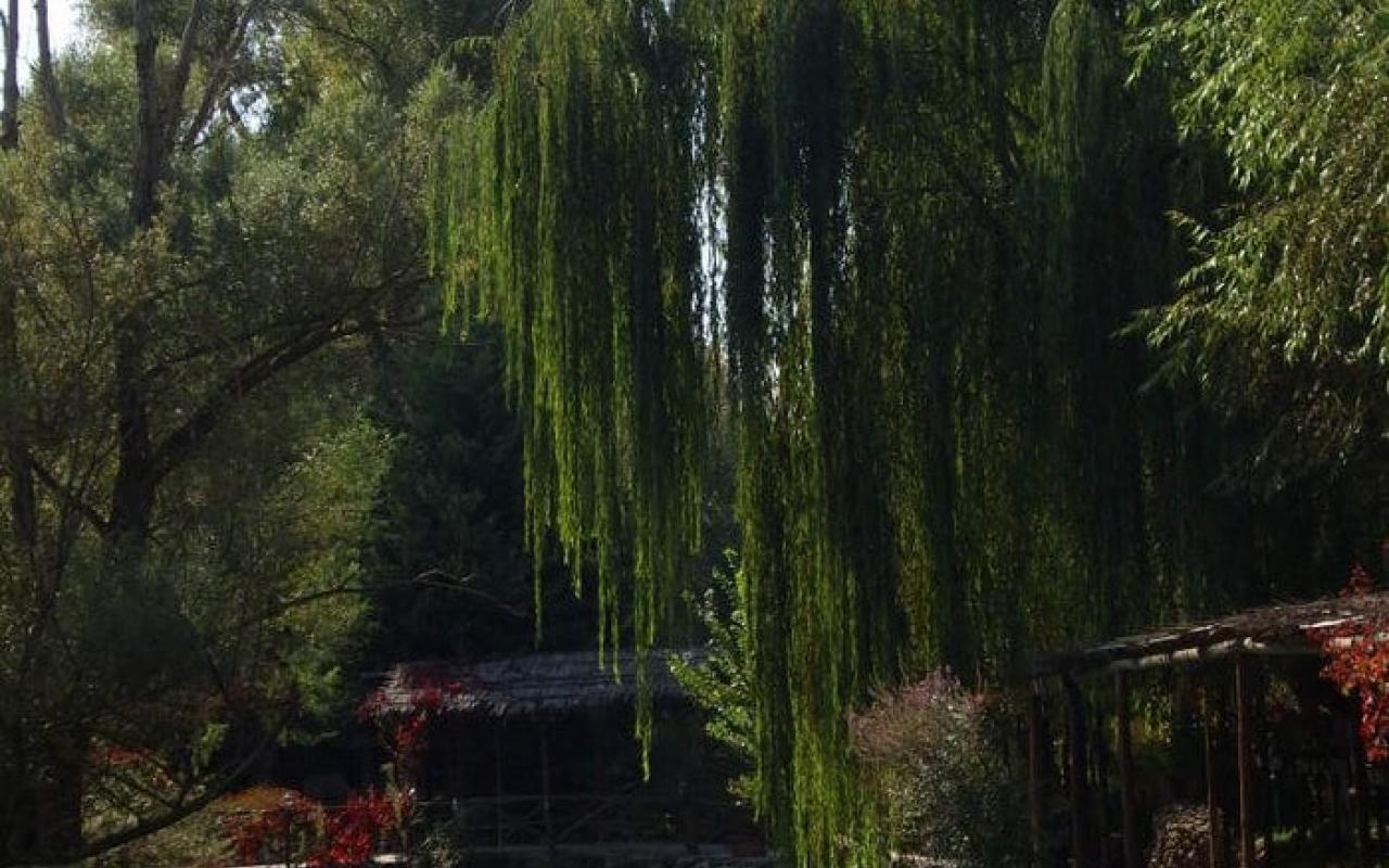  Κεφαλάρι Δράμας