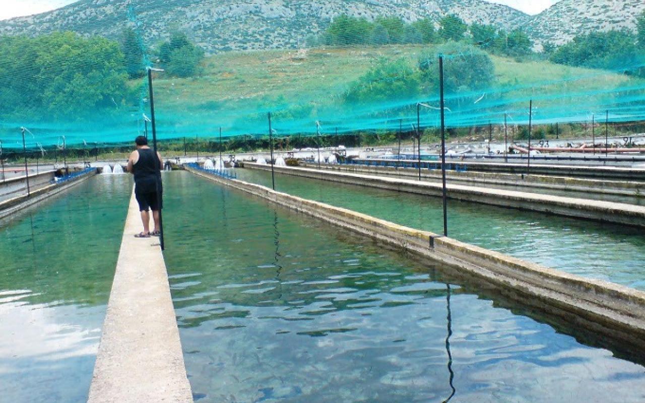  Κεφαλάρι Δράμας