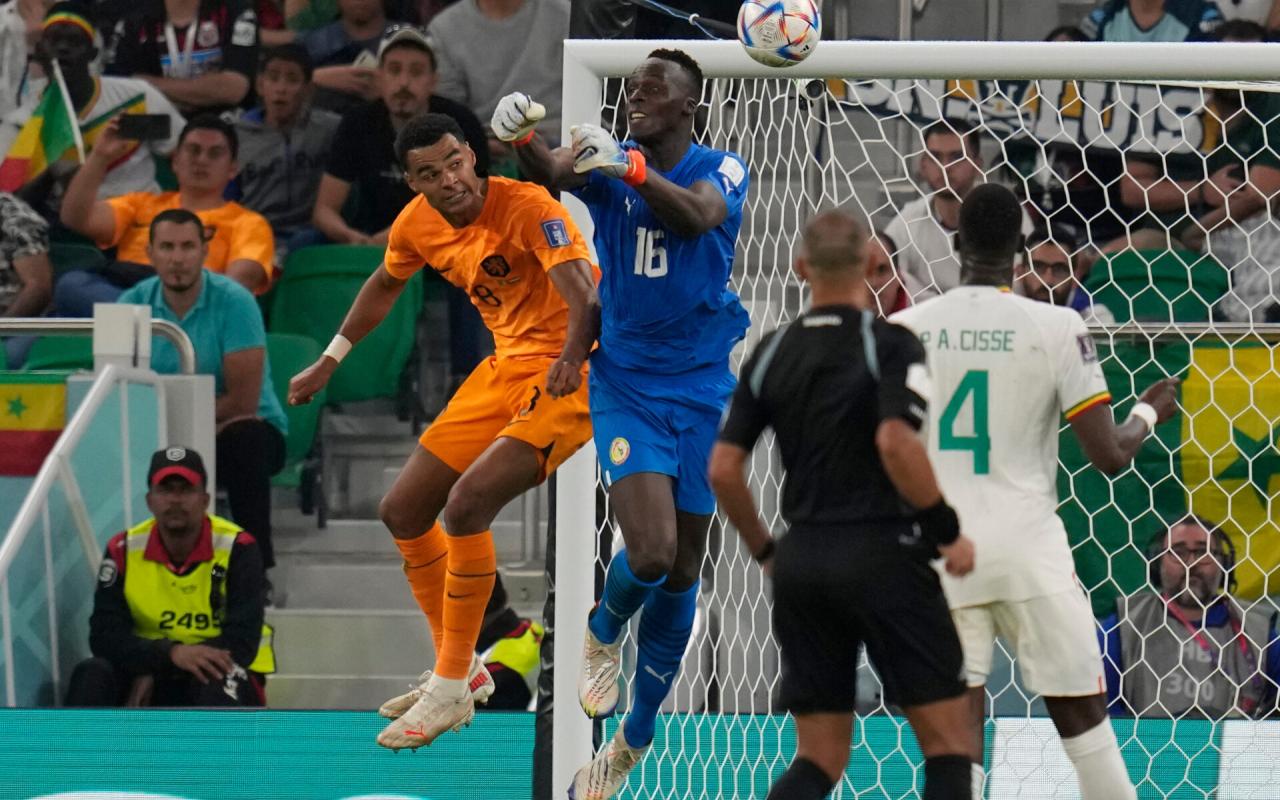 ολλανδια σενεγαλη