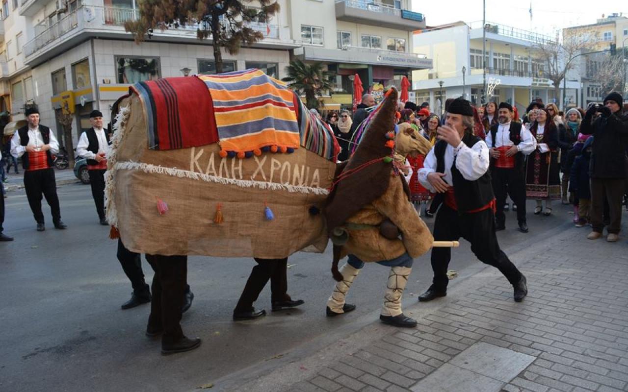 καμήλα ξάνθη