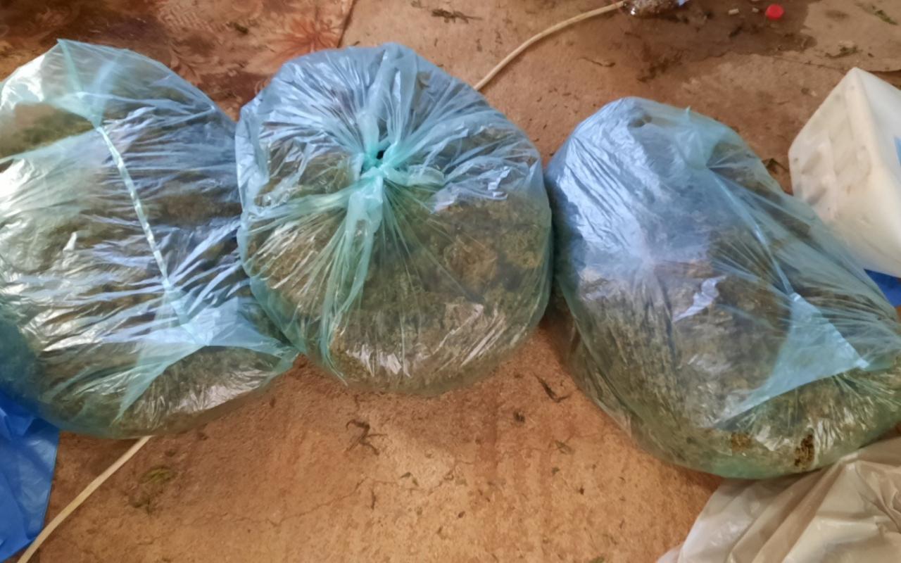 Σάρωσαν εγκληματική ομάδα που καλλιεργούσε χασίς