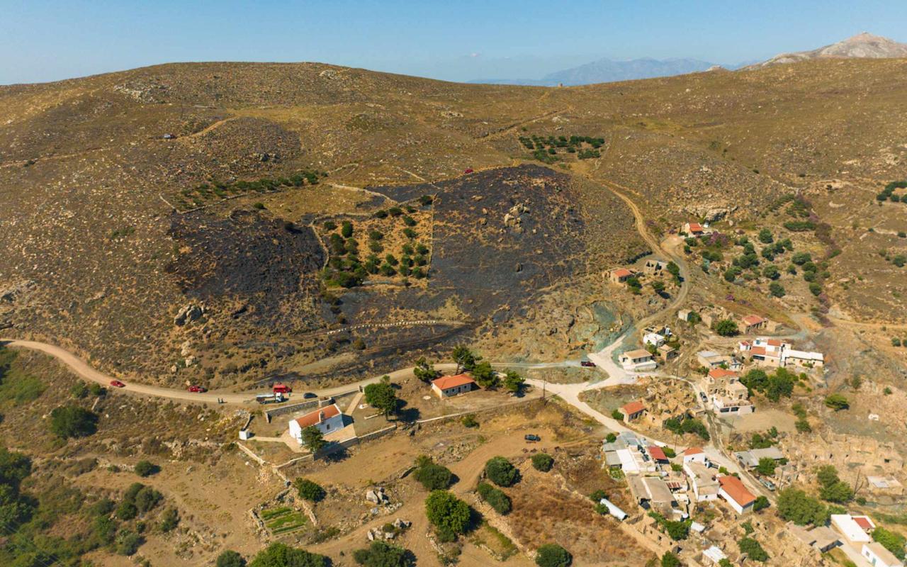 Η καμένη έκταση στον Πρινιά. Φωτογραφία: Γιώργος Τριβυζαδακης