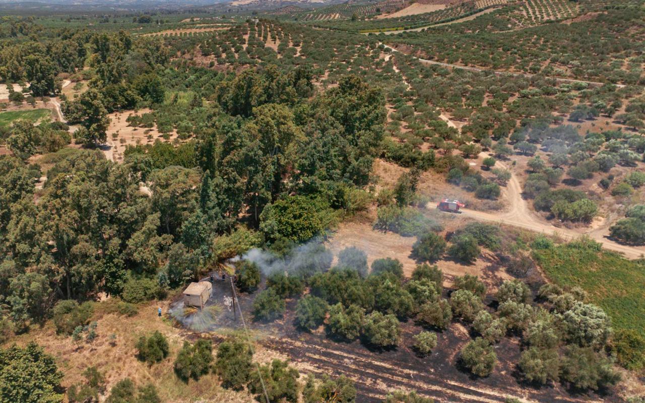 Η καμένη έκταση στον Πρινιά. Φωτογραφία: Γιώργος Τριβυζαδακης