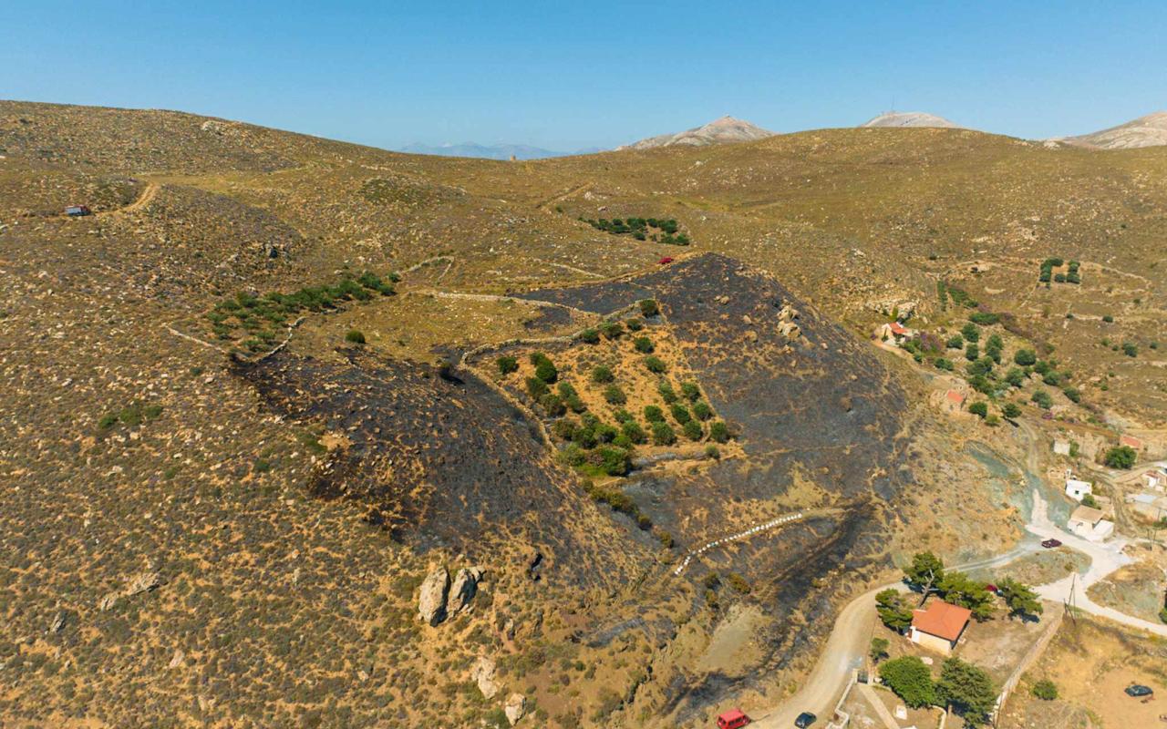 Η καμένη έκταση στον Πρινιά. Φωτογραφία: Γιώργος Τριβυζαδακης