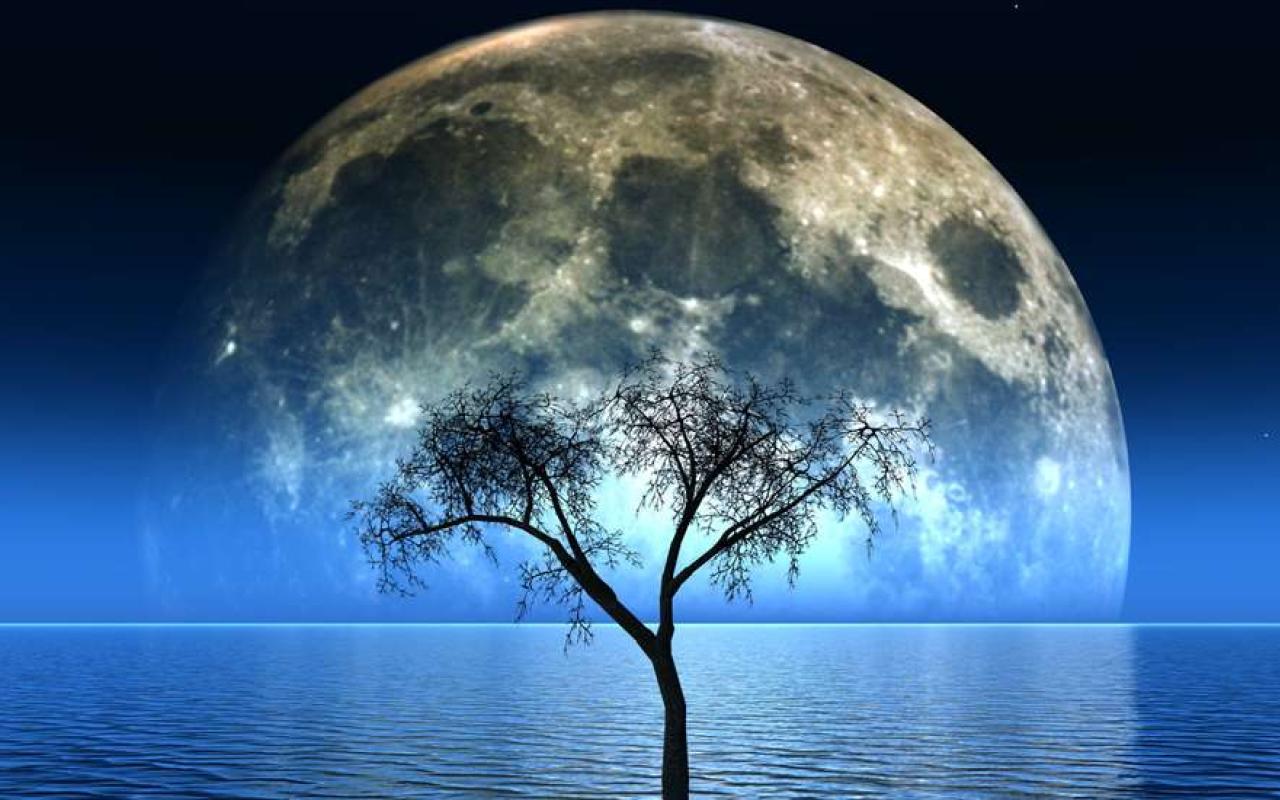 Το «Φεγγάρι του Οξύρρυγχου»